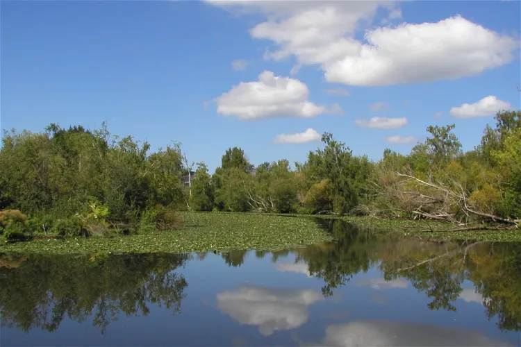 Washington Park Arboretum