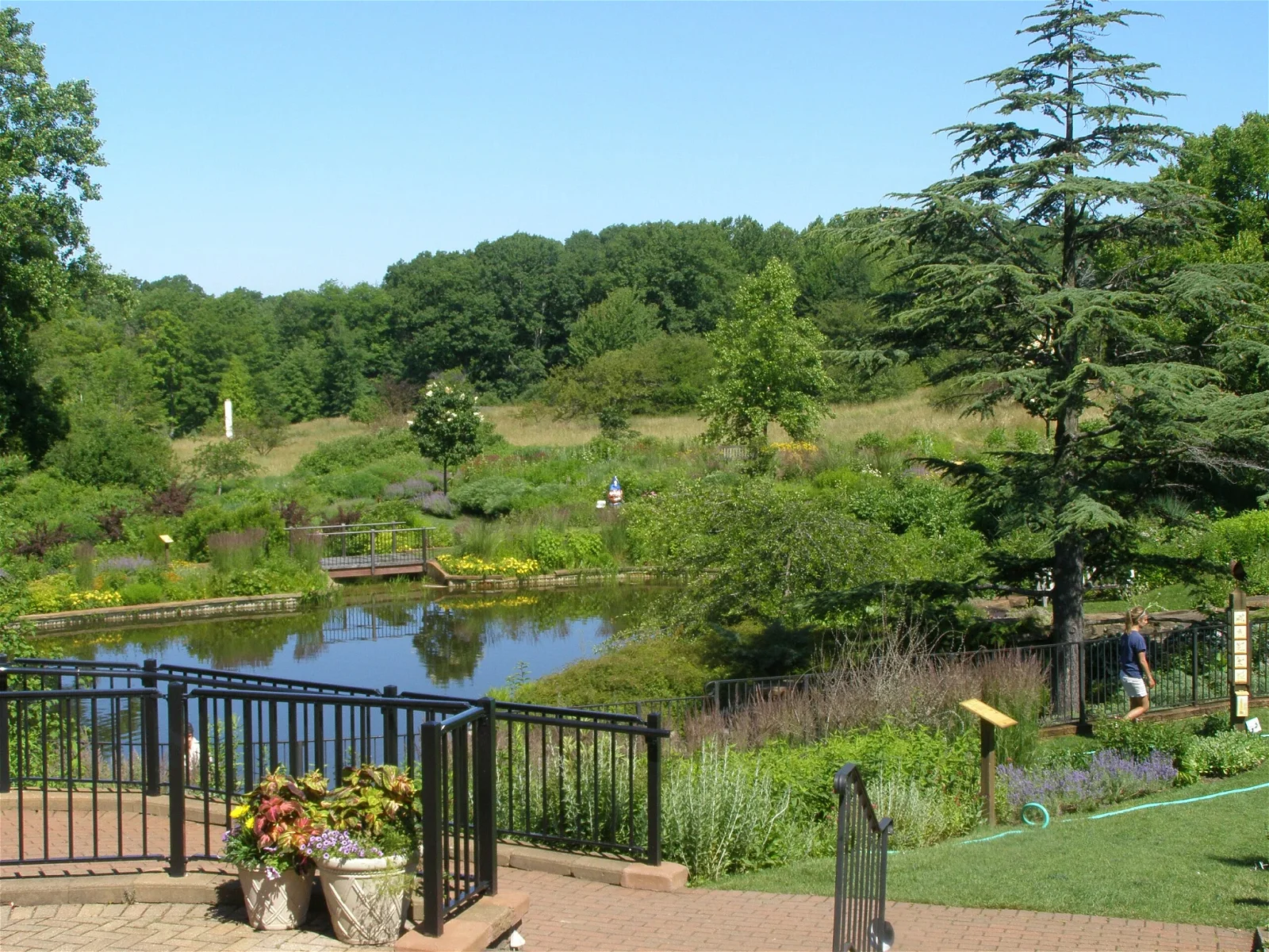 Holden Arboretum