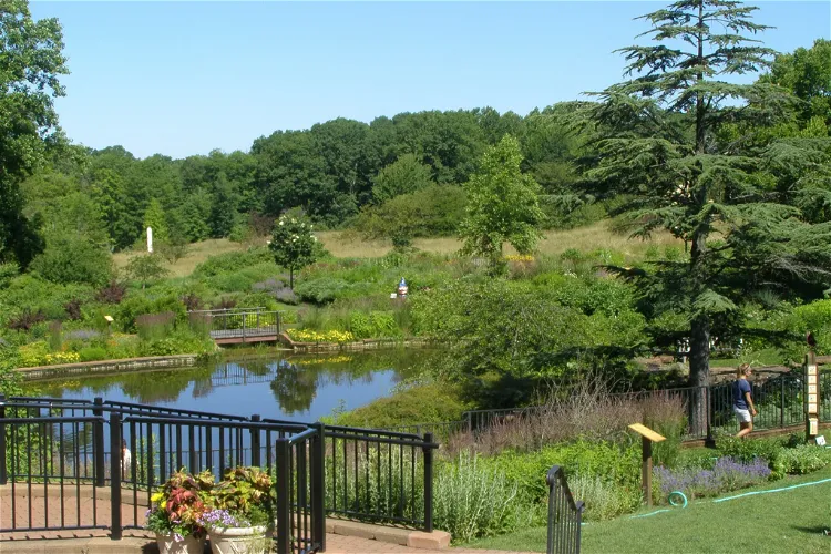 Holden Arboretum