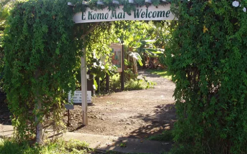 Amy B. H. Greenwell Ethnobotanical Garden