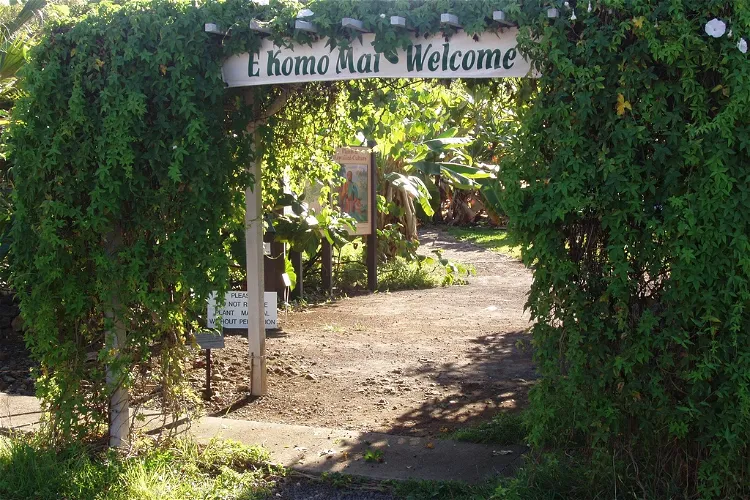 Jardín etnobotánico Amy B. H. Greenwell