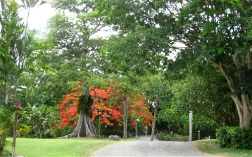 St. George Village Botanical Garden