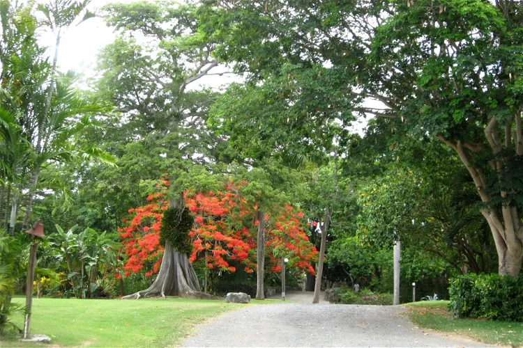 St. George Village Botanical Garden