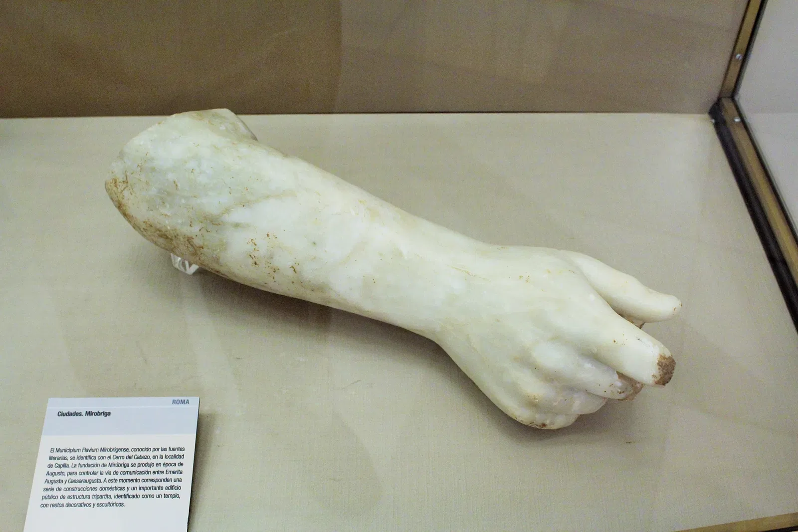 Archaeological Museum of Badajoz