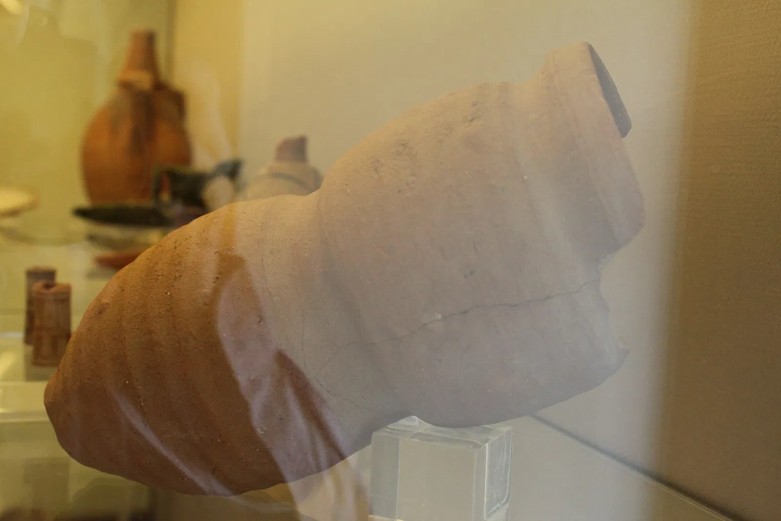 Archaeological Museum of Badajoz