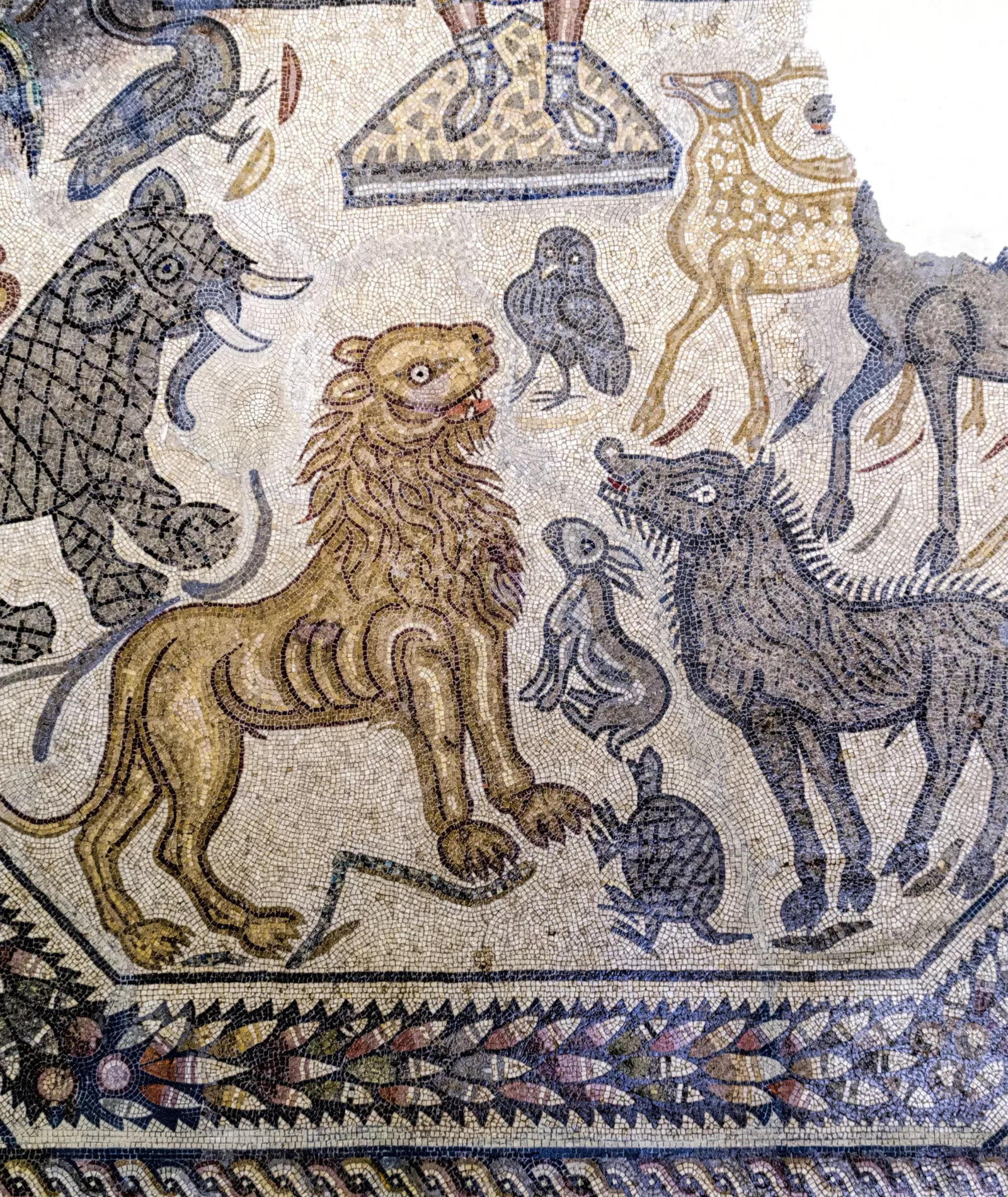 Museo Arqueológico Provincial de Badajoz