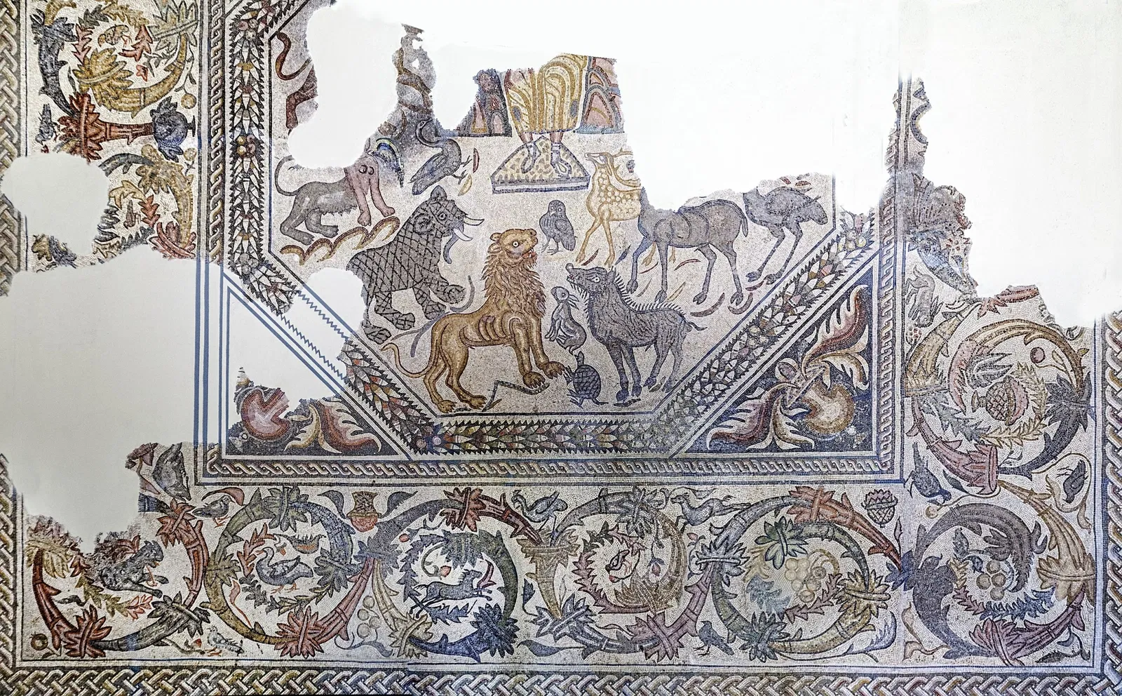 Archaeological Museum of Badajoz