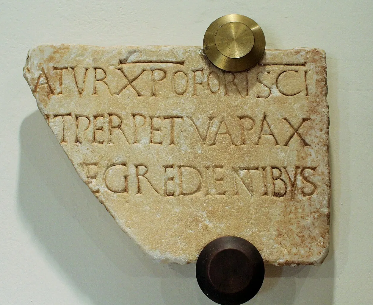 Archaeological Museum of Badajoz