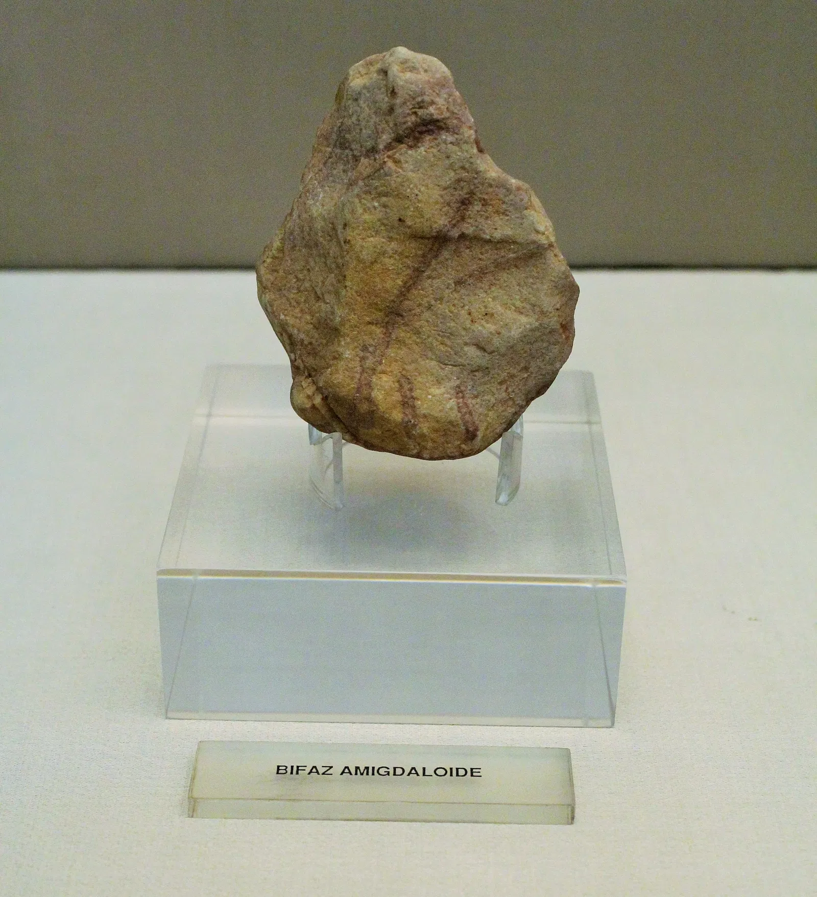 Archaeological Museum of Badajoz