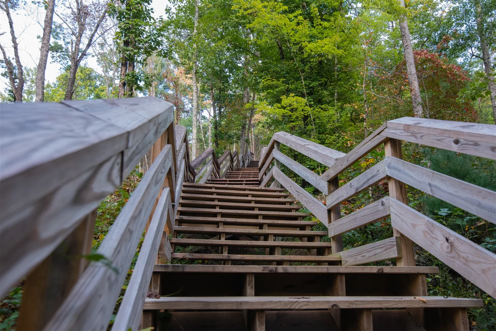 Stone Mountain State Park
