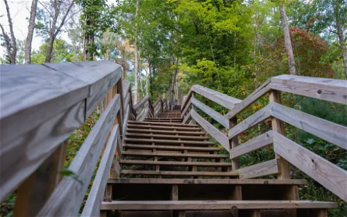 Stone Mountain State Park
