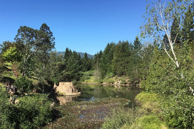 Jardín botánico de Quarryhill