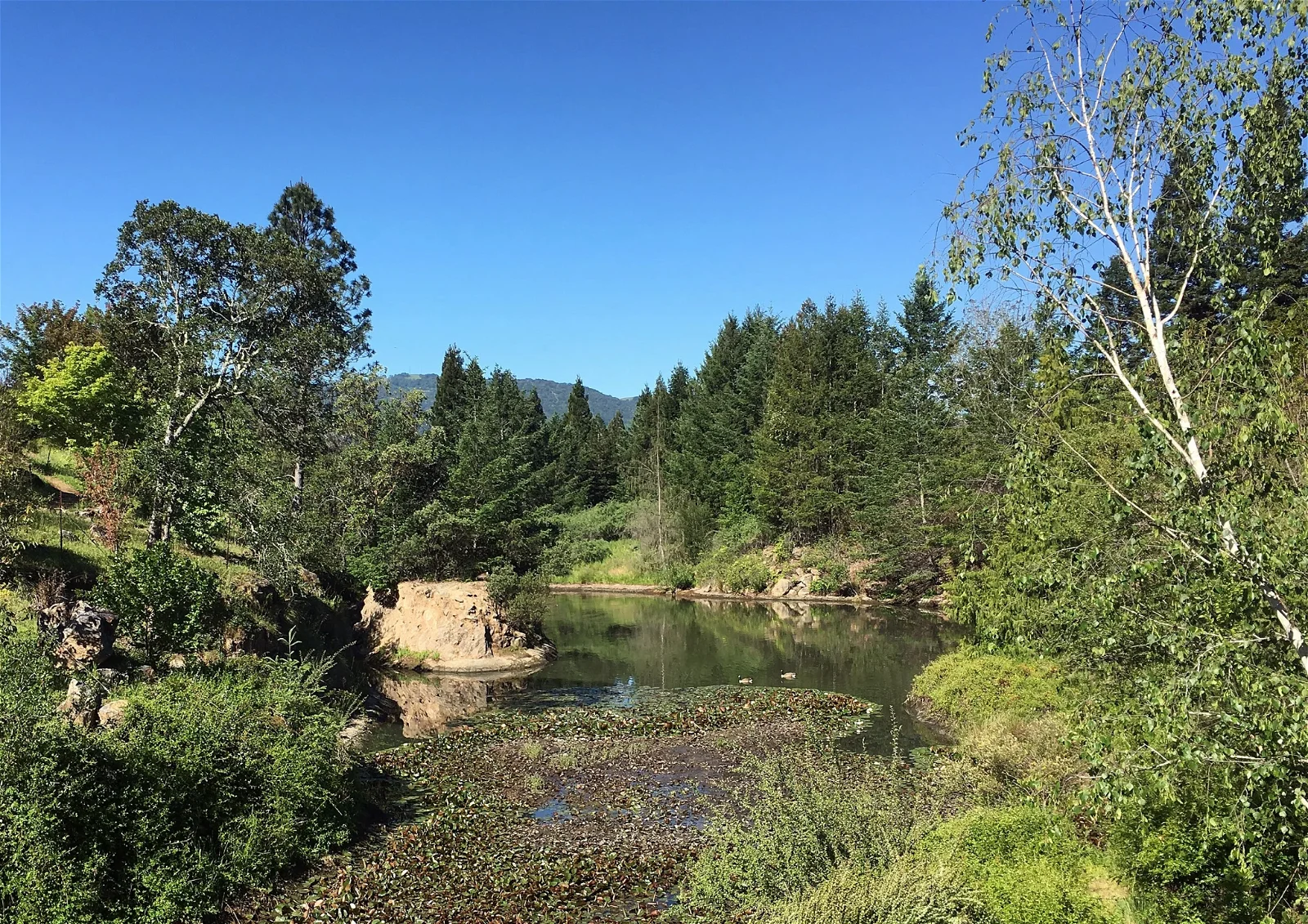 Sonoma Botanical Garden