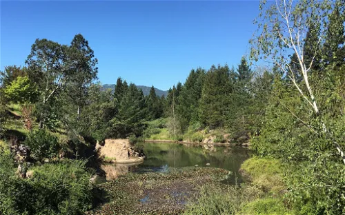 Sonoma Botanical Garden