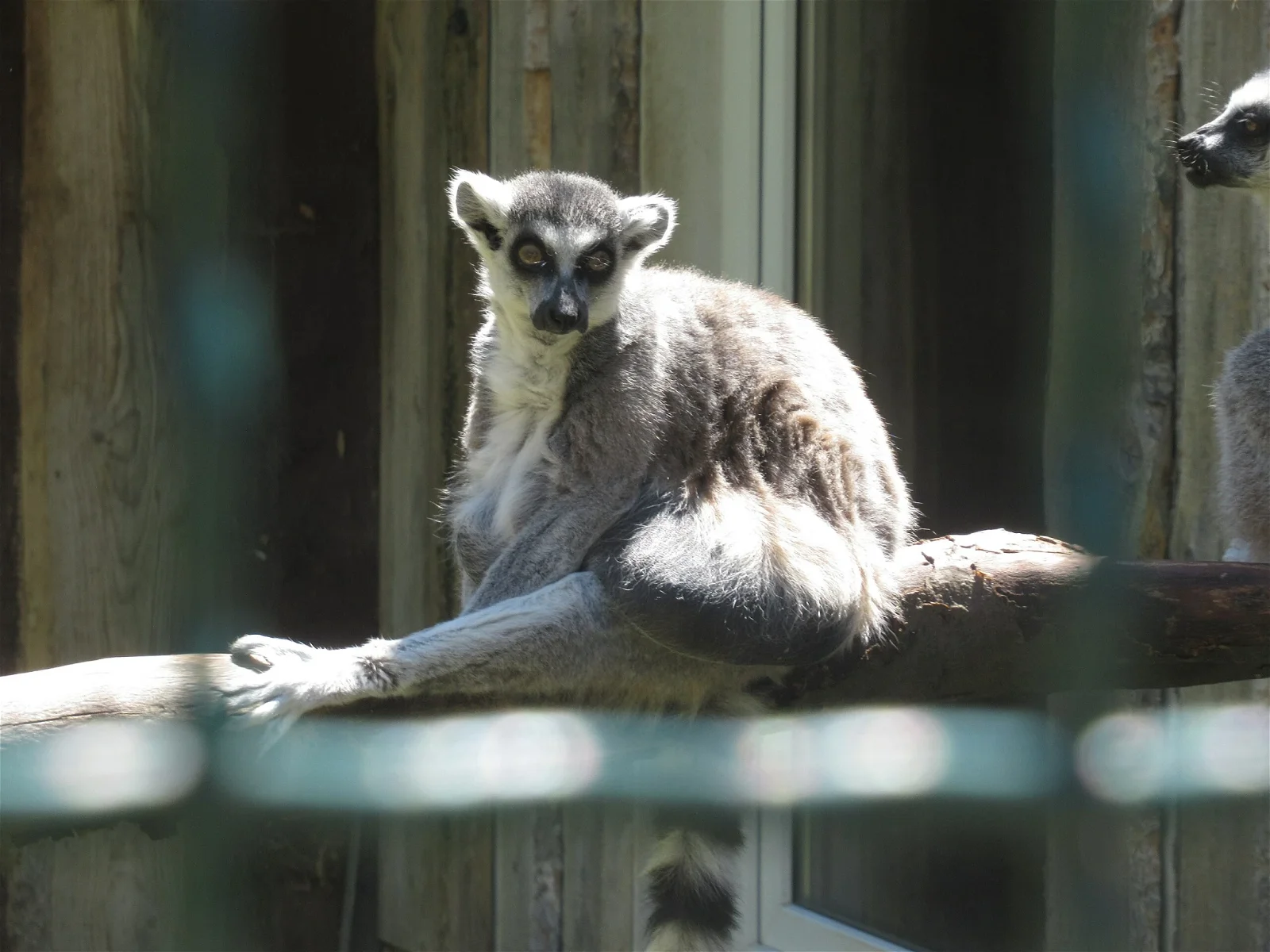 Tierpark Bad Liebenstein