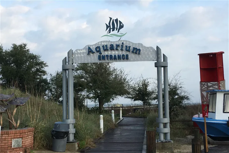 Alabama Aquarium