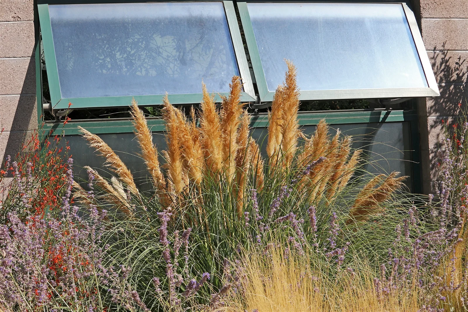 ABQ BioPark Botanic Garden