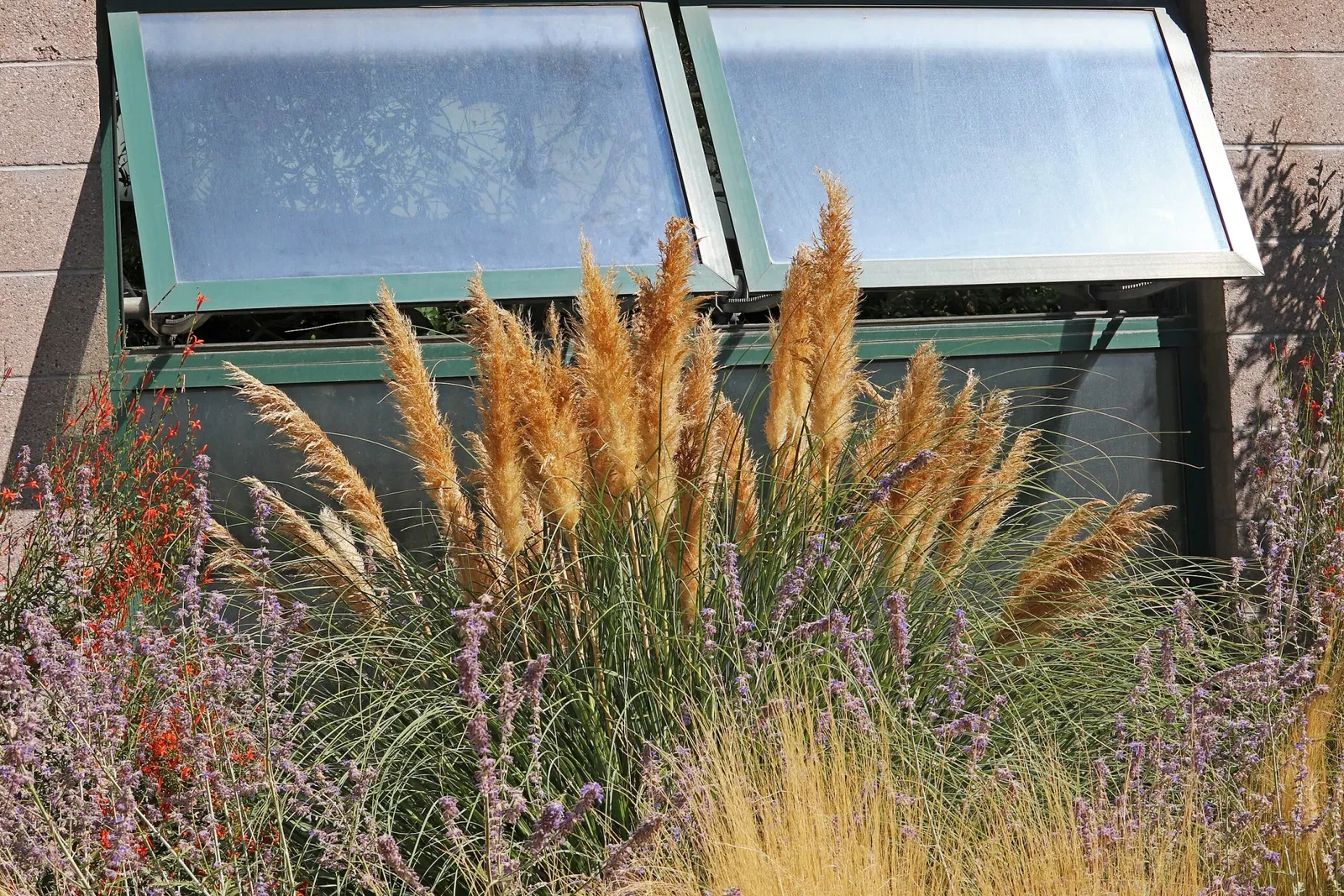 Jardín botánico de Río Grande