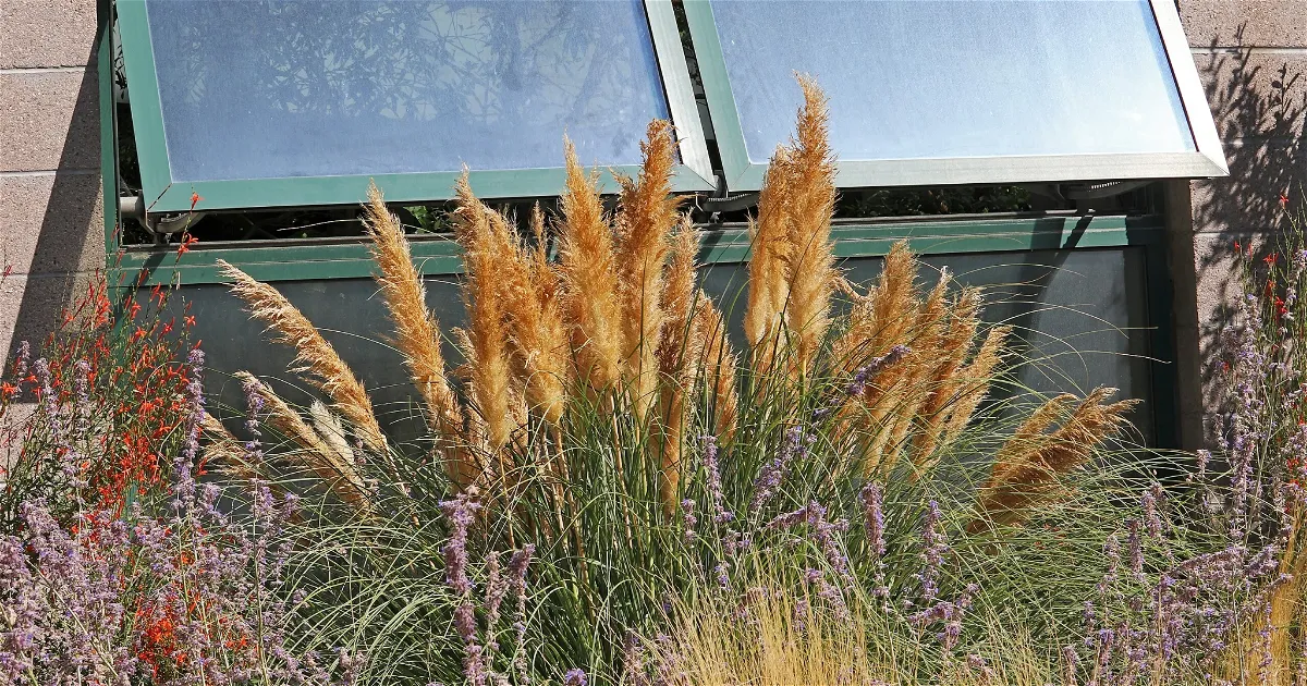 Tickets & prices ABQ BioPark Botanic Garden - Whichmuseum