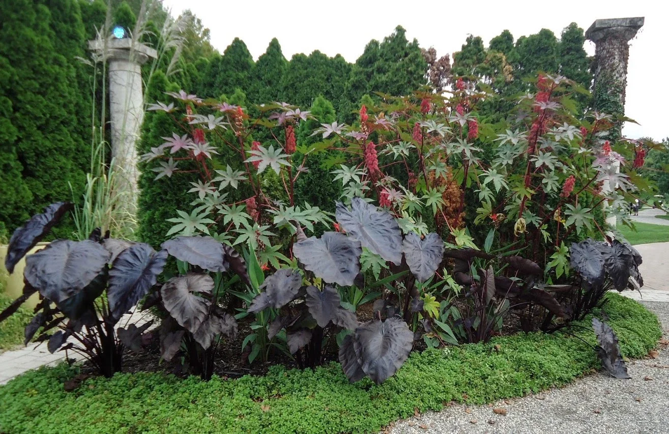 Grounds For Sculpture