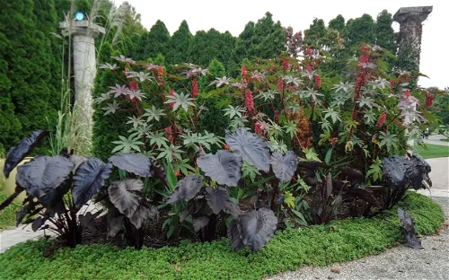 Grounds For Sculpture