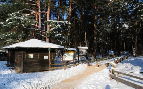 Wildpark Schorfheide