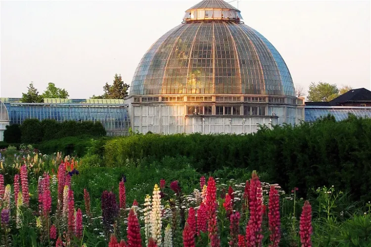 Belle Isle Conservatory