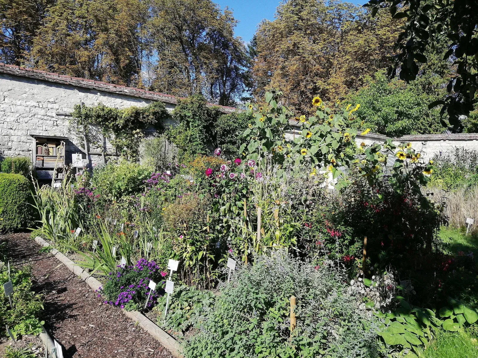 Kräutergarten Inzigkofen