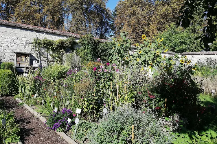 Kräutergarten Inzigkofen