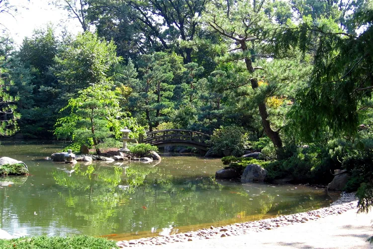 Anderson Japanese Gardens