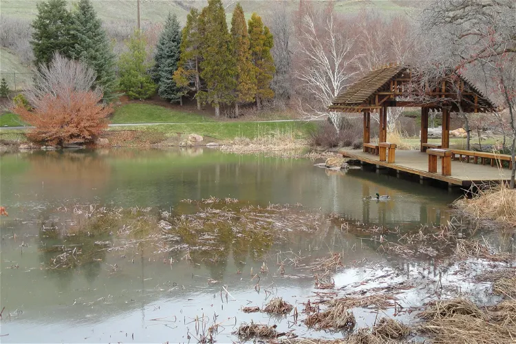 Red Butte Garden y Arboretum