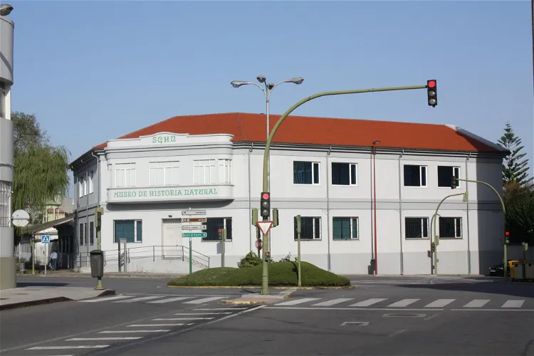 Museo de Historia Natural