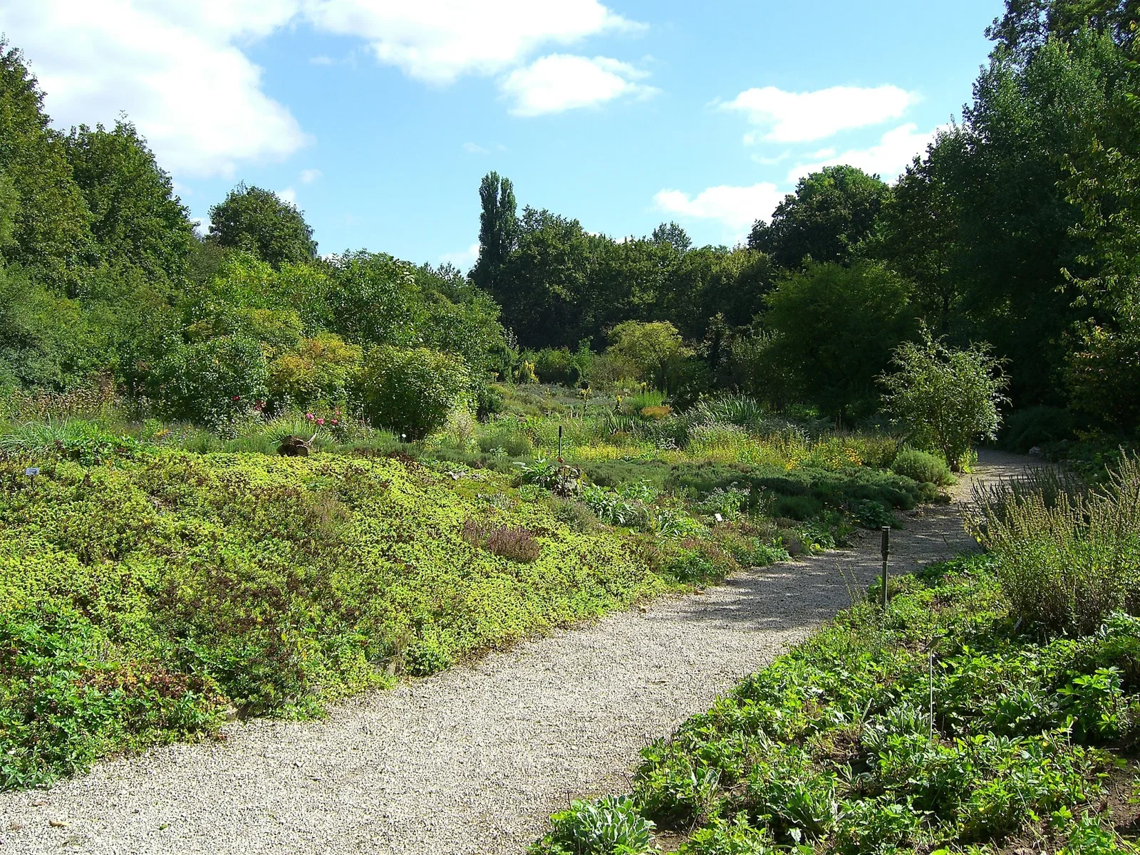 Aromagarten Erlangen: The World's First Garden Dedicated to Scent