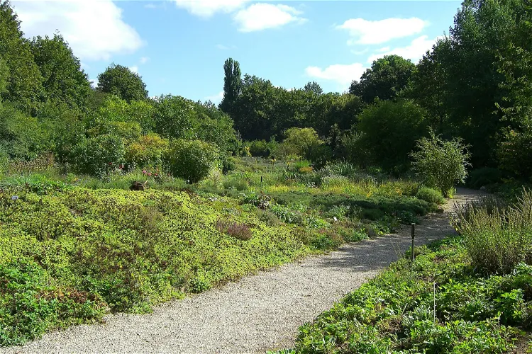 Aromatic Garden