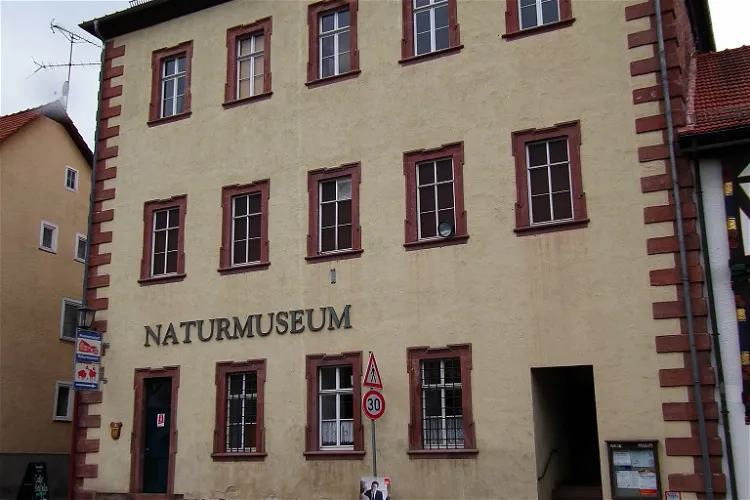 Naturmuseum