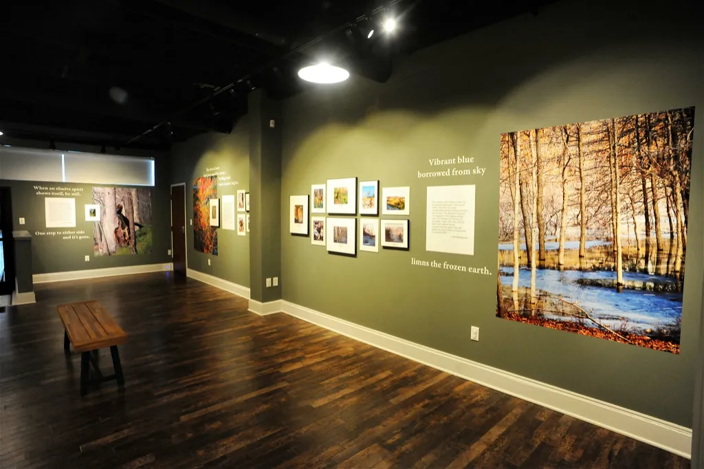 The Path That Ventures Within: Inspirations Found Along Indiana Dunes Trails