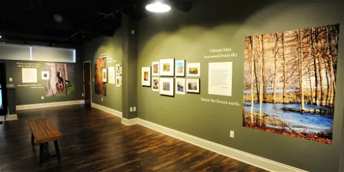 The Path That Ventures Within: Inspirations Found Along Indiana Dunes Trails