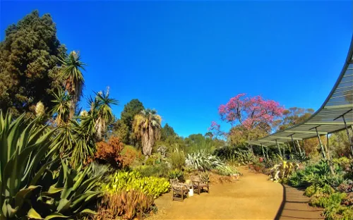 The Ruth Bancroft Garden & Nursery