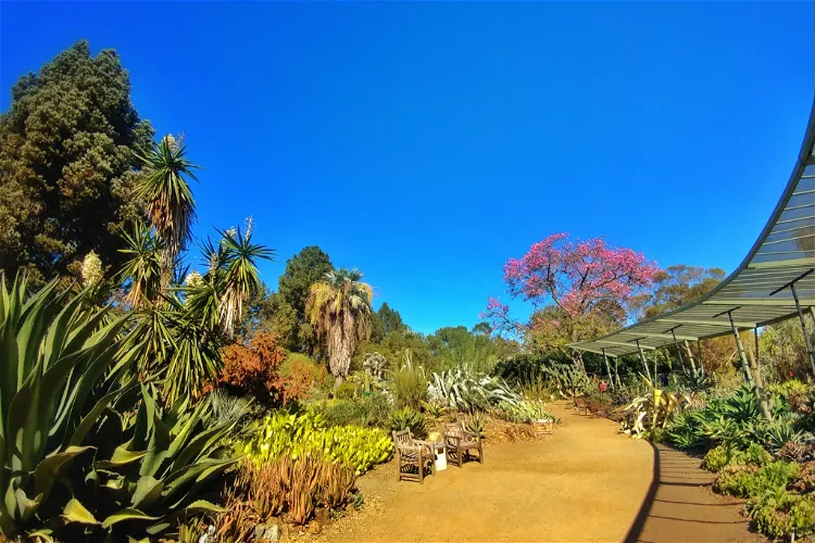 The Ruth Bancroft Garden & Nursery