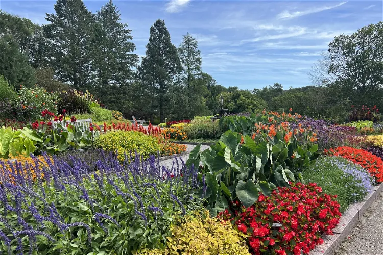Arboreto paisajista de Minnesota