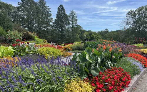 Minnesota Landscape Arboretum