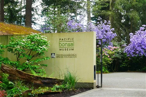 Rhododendron Species Botanical Garden