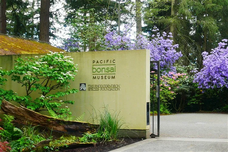 Rhododendron Species Botanical Garden