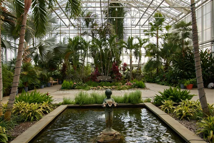 Centro botánico del parque Roger Williams