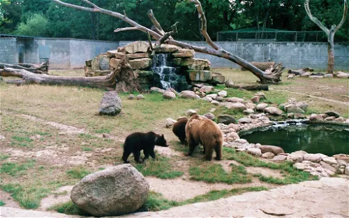 Bernburg Zoo