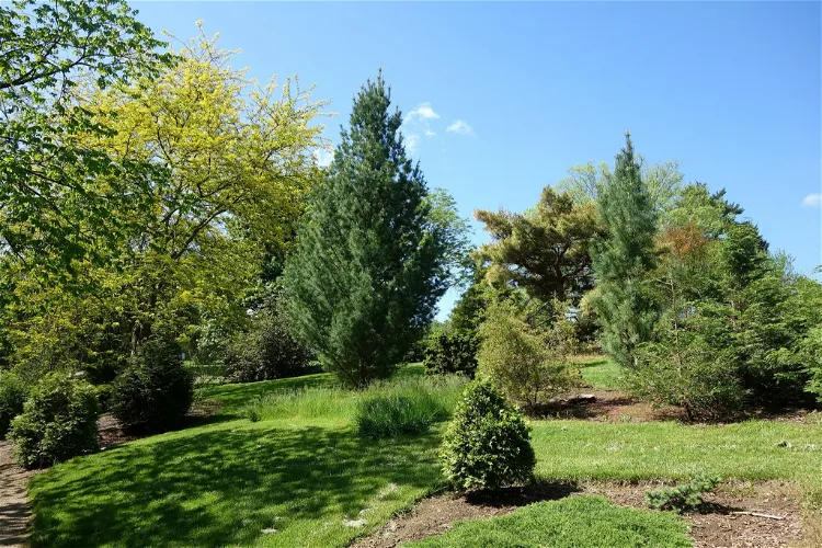 Rowe Arboretum