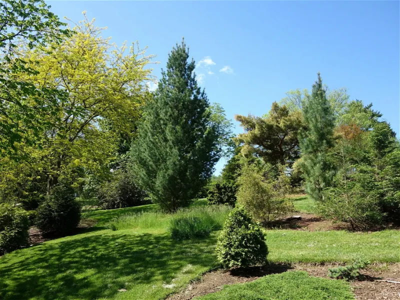 Rowe Arboretum (Cincinnati) - Visitor Information & Reviews