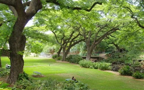 Liliʻuokalani Botanical Garden