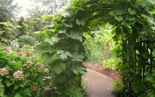 Rodef Shalom Biblical Botanical Garden