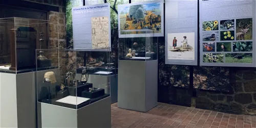 El Camino Real de los Tejas and Nacogdoches: History in Every Direction